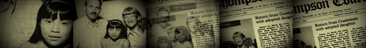dominga.newspaper