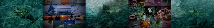 wakatobi